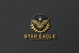 Star Eagle Developers