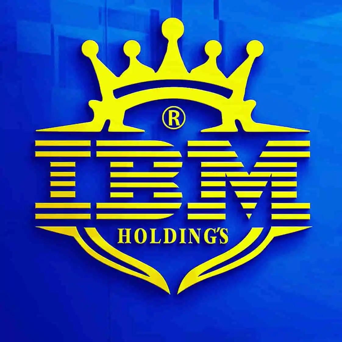 IBM Holdings