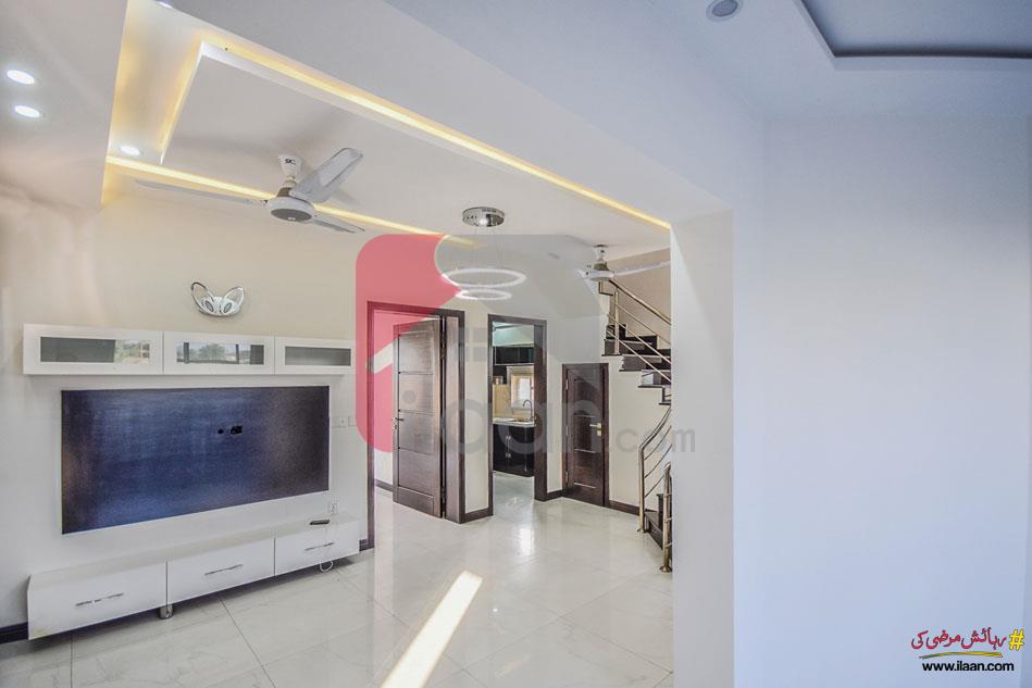 5 Marla House for Rent in Phase 9 - Town, DHA Lahore