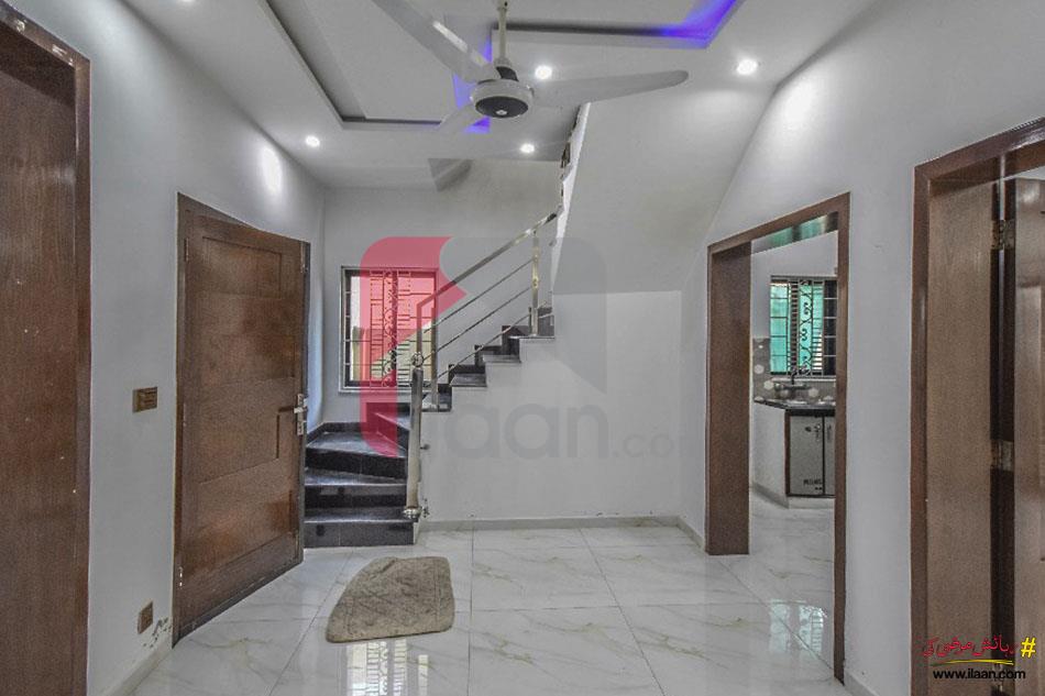 5 Marla House for Rent in Phase 9 - Town, DHA Lahore