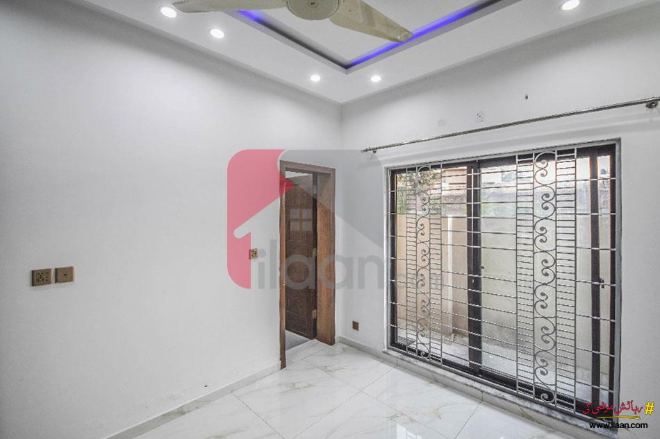 5 Marla House for Rent in Phase 9 - Town, DHA Lahore