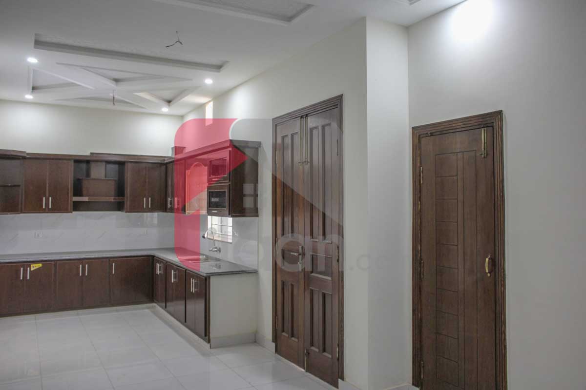 5 Marla House for Sale in Allama Iqbal Avenue, Bahawalpur