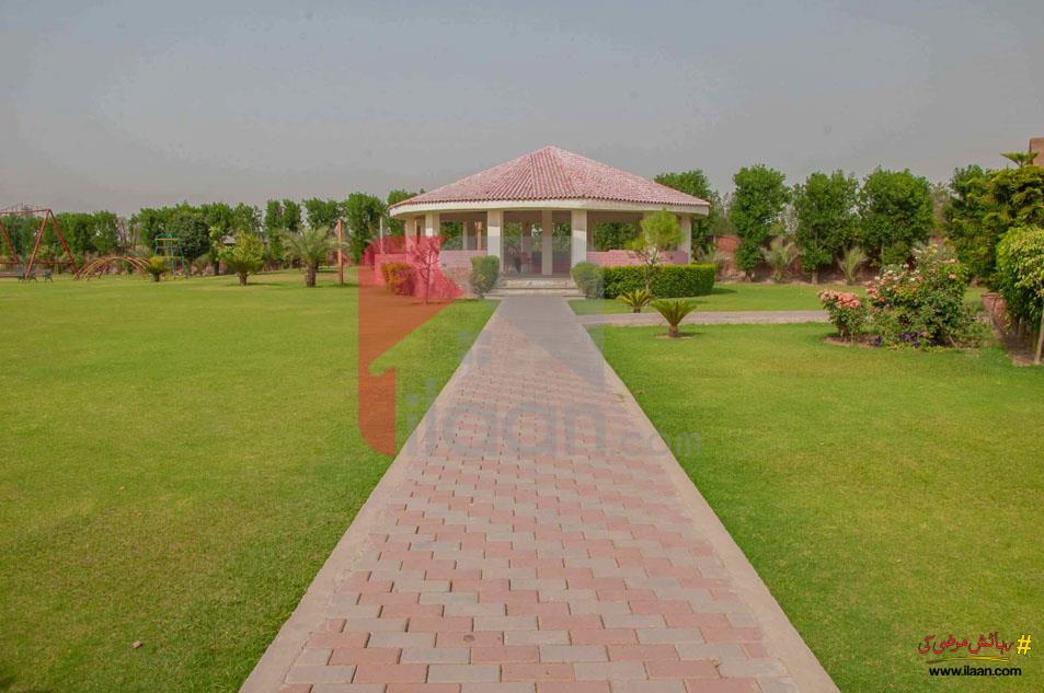 2 Kanal Farmhouse Plot for Sale in Orchard Greenz Luxury Farm House Society, Bedian Road, Lahore