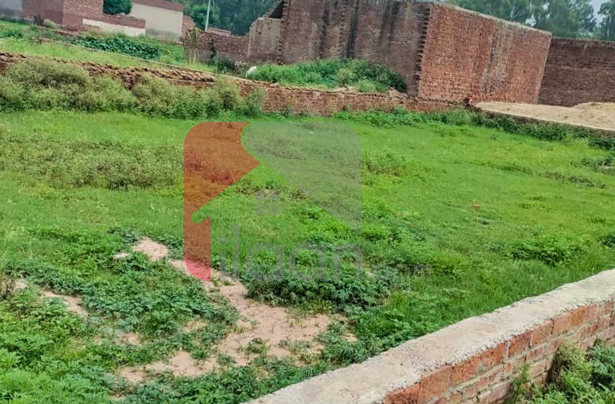 19 Marla Plot for Sale on Faisalabad Road, Sheikhupura