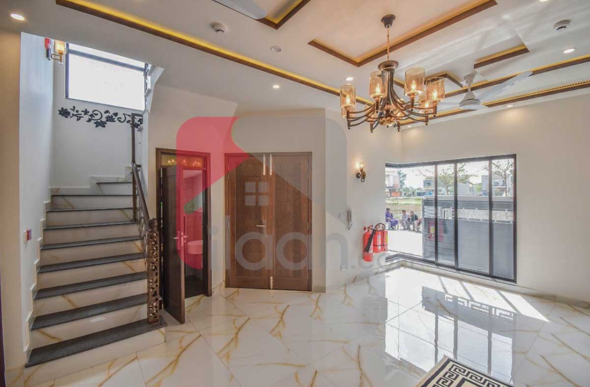 5 Marla House for Rent in Phase 9 - Town, DHA Lahore