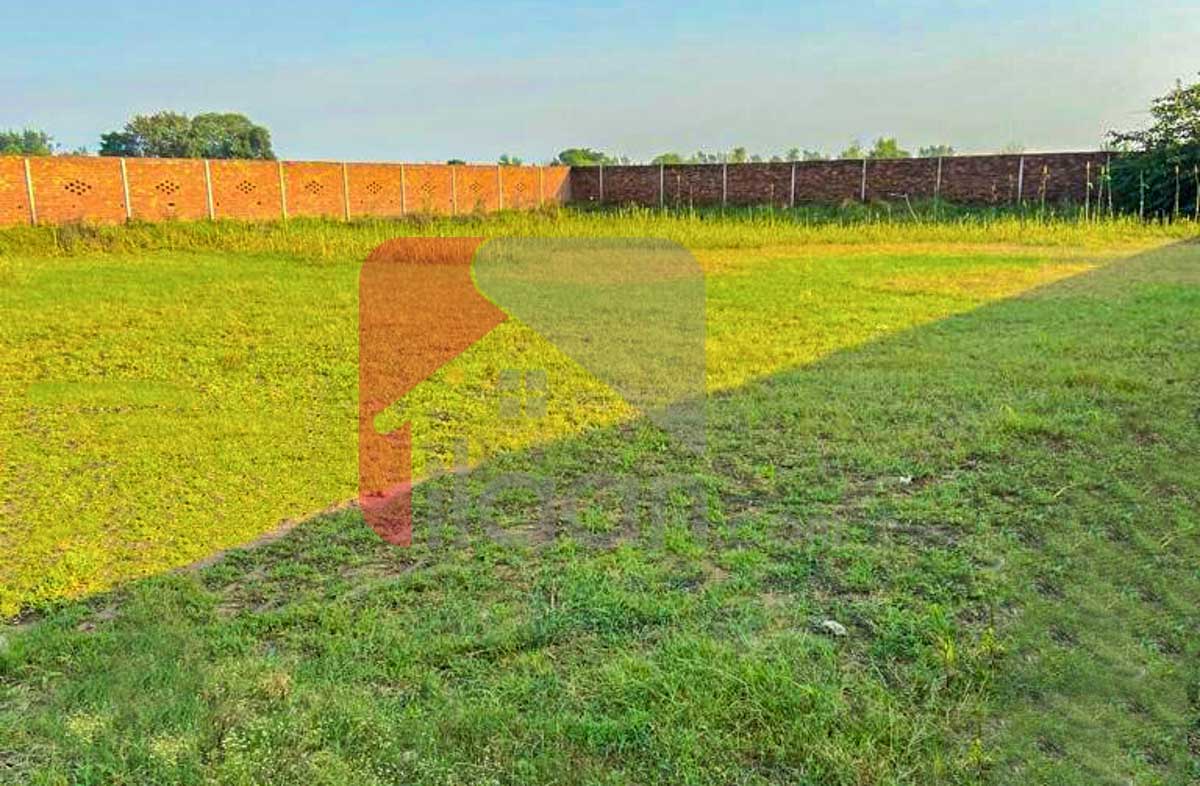 4.5 Kanal Plot for Sale in Thethar, Lahore