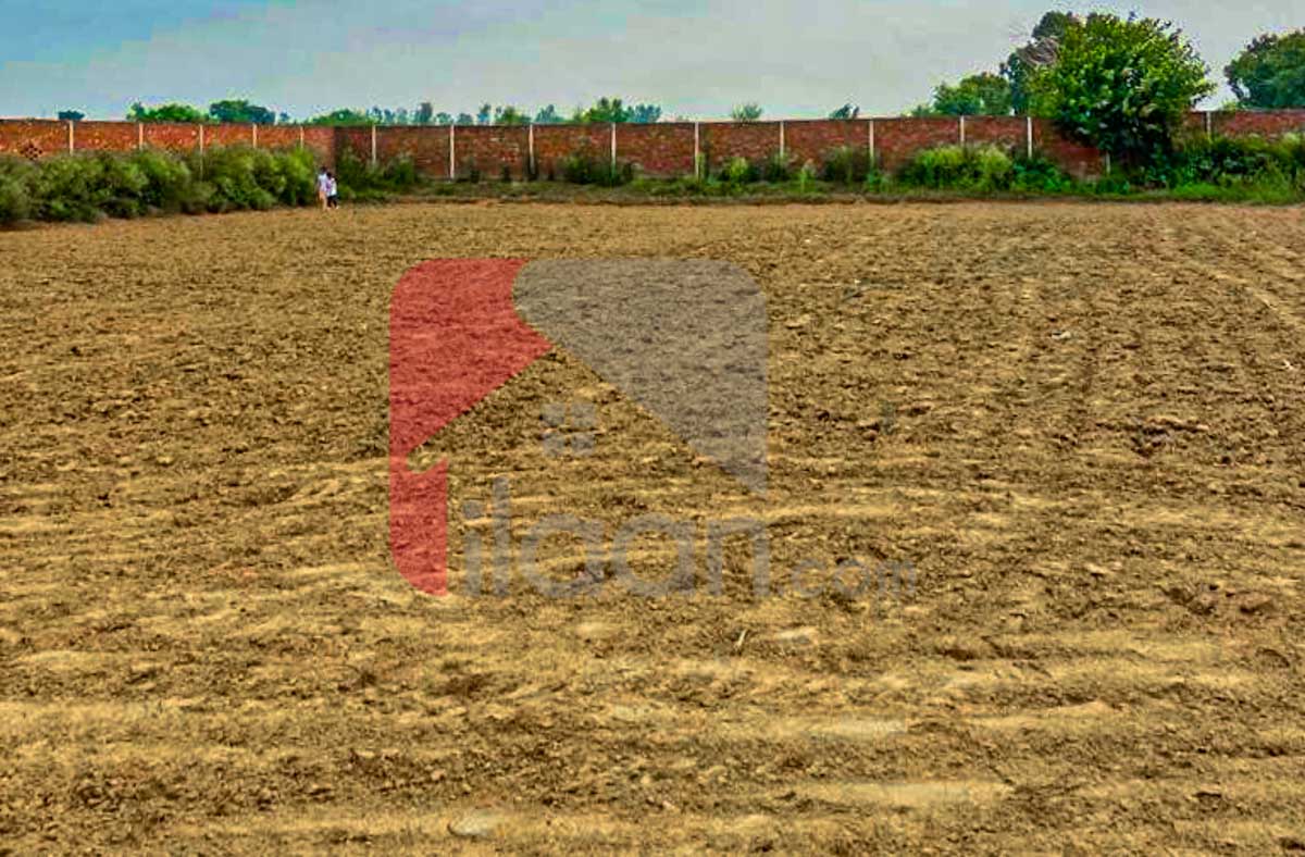 4.5 Kanal Plot for Sale in Thethar, Lahore