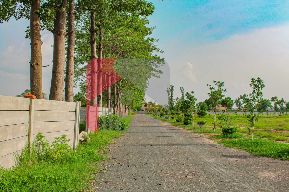 4 Kanal Farmhouse Plot for Sale in Orchard Greenz Luxury Farm House Society, Bedian Road, Lahore