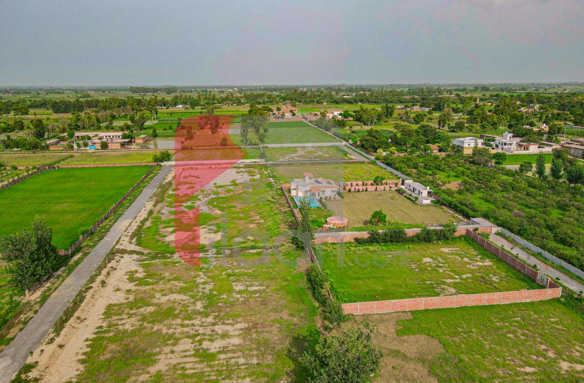 4 Kanal Farmhouse Plot for Sale in Orchard Greenz Luxury Farm House Society, Bedian Road, Lahore
