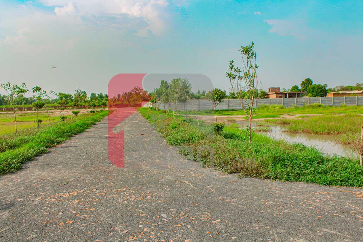 4 Kanal Farmhouse Plot for Sale in Orchard Greenz Luxury Farm House Society, Bedian Road, Lahore