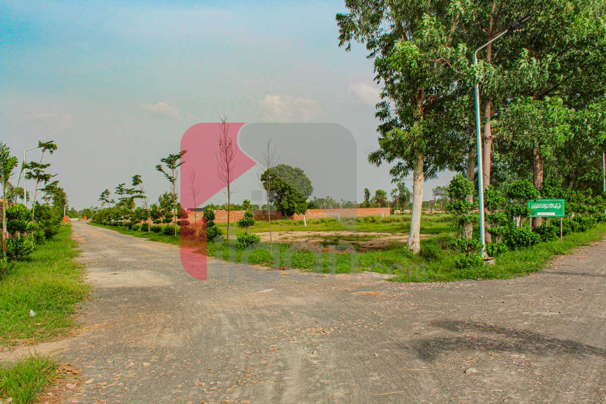 4 Kanal Farmhouse Plot for Sale in Orchard Greenz Luxury Farm House Society, Bedian Road, Lahore