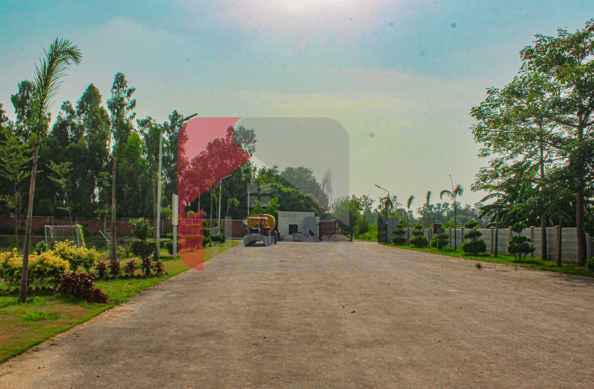 4 Kanal Farmhouse Plot for Sale in Orchard Greenz Luxury Farm House Society, Bedian Road, Lahore
