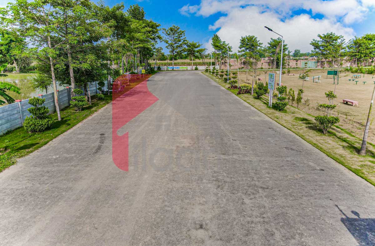4 Kanal Farmhouse Plot for Sale in Orchard Greenz Luxury Farm House Society, Bedian Road, Lahore