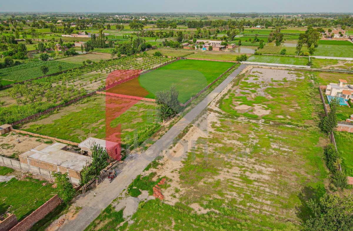 4 Kanal Farmhouse Plot for Sale in Orchard Greenz Luxury Farm House Society, Bedian Road, Lahore