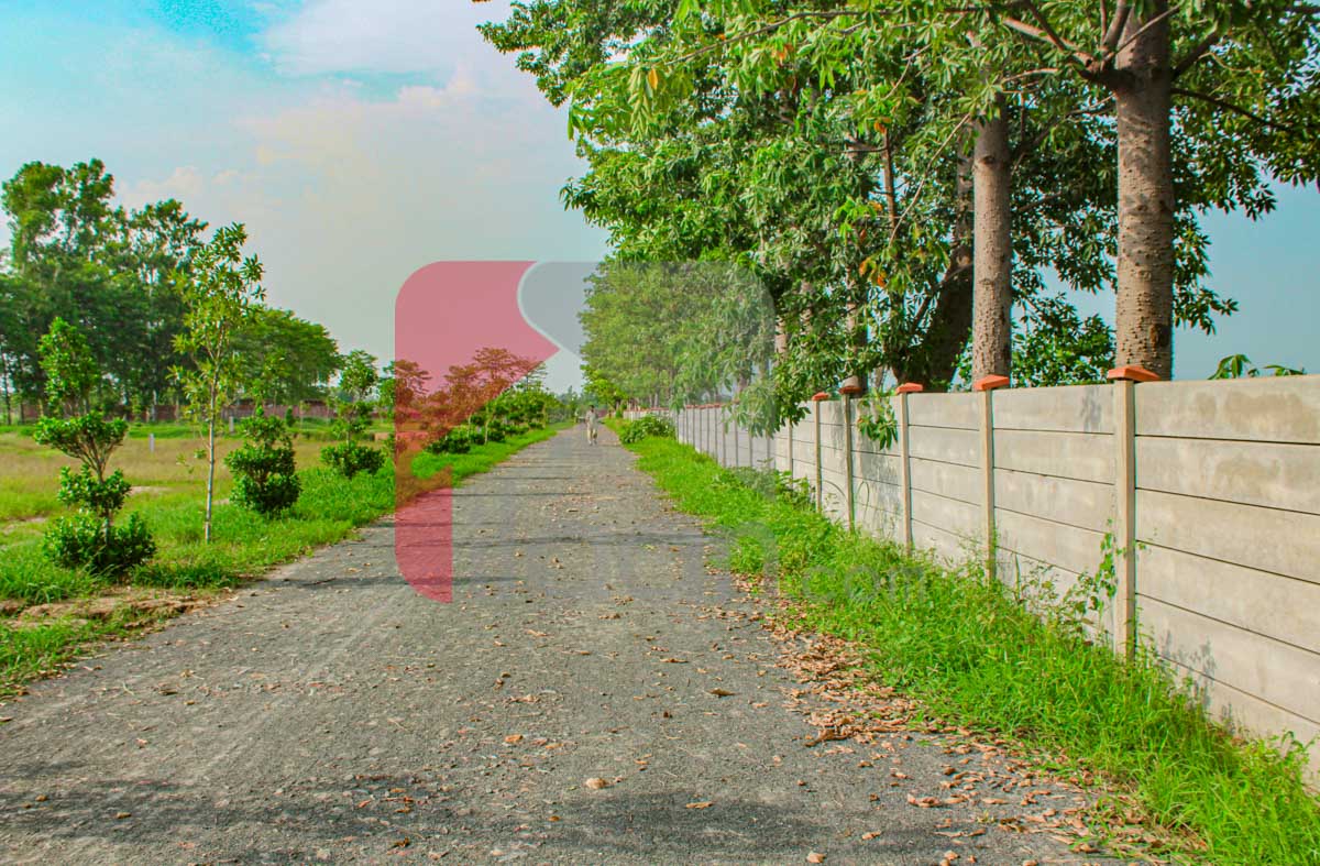 4 Kanal Farmhouse Plot for Sale in Orchard Greenz Luxury Farm House Society, Bedian Road, Lahore