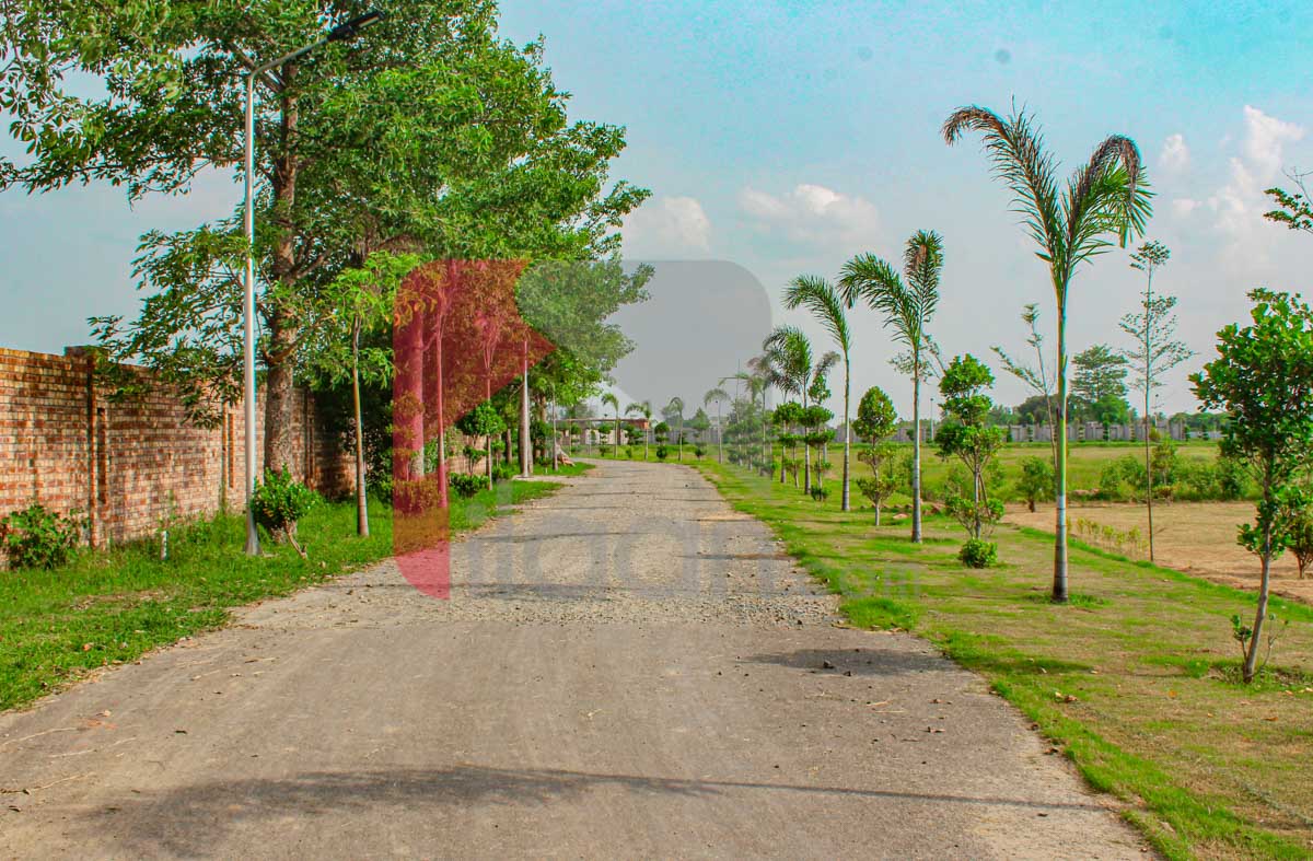 4 Kanal Farmhouse Plot for Sale in Orchard Greenz Luxury Farm House Society, Bedian Road, Lahore