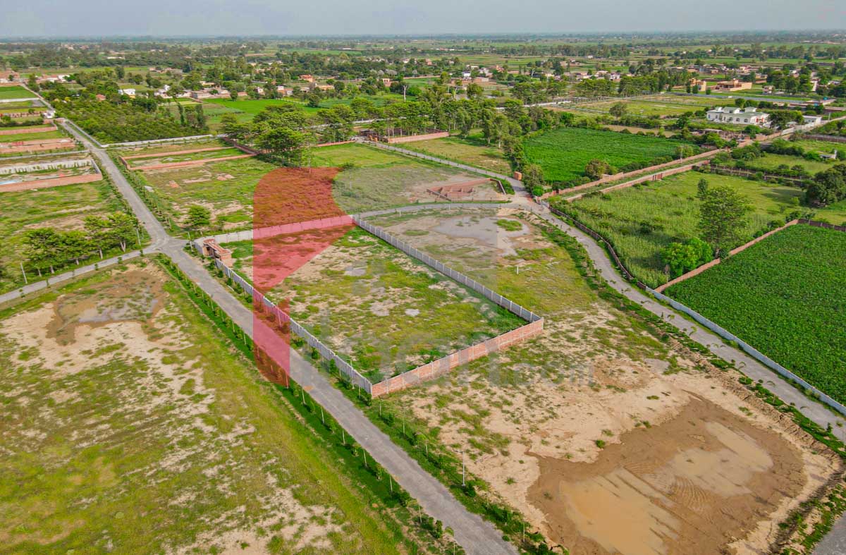 4 Kanal Farmhouse Plot for Sale in Orchard Greenz Luxury Farm House Society, Bedian Road, Lahore