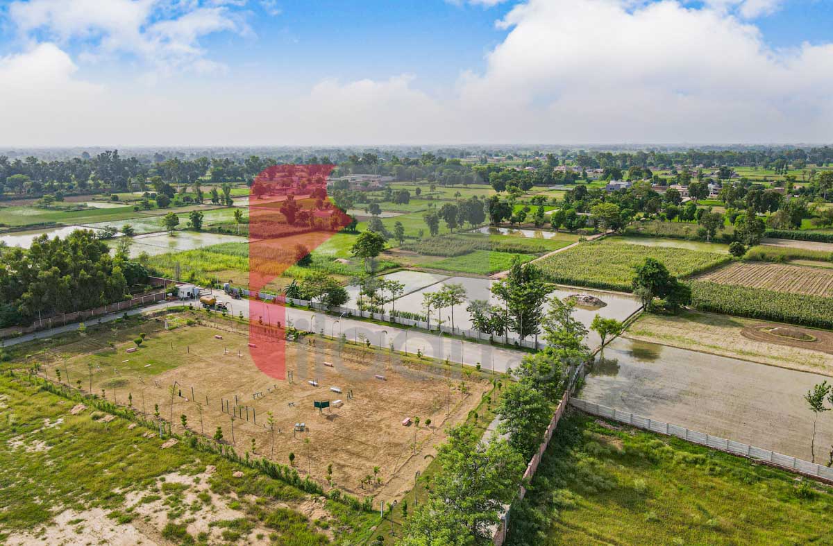 4 Kanal Farmhouse Plot for Sale in Orchard Greenz Luxury Farm House Society, Bedian Road, Lahore