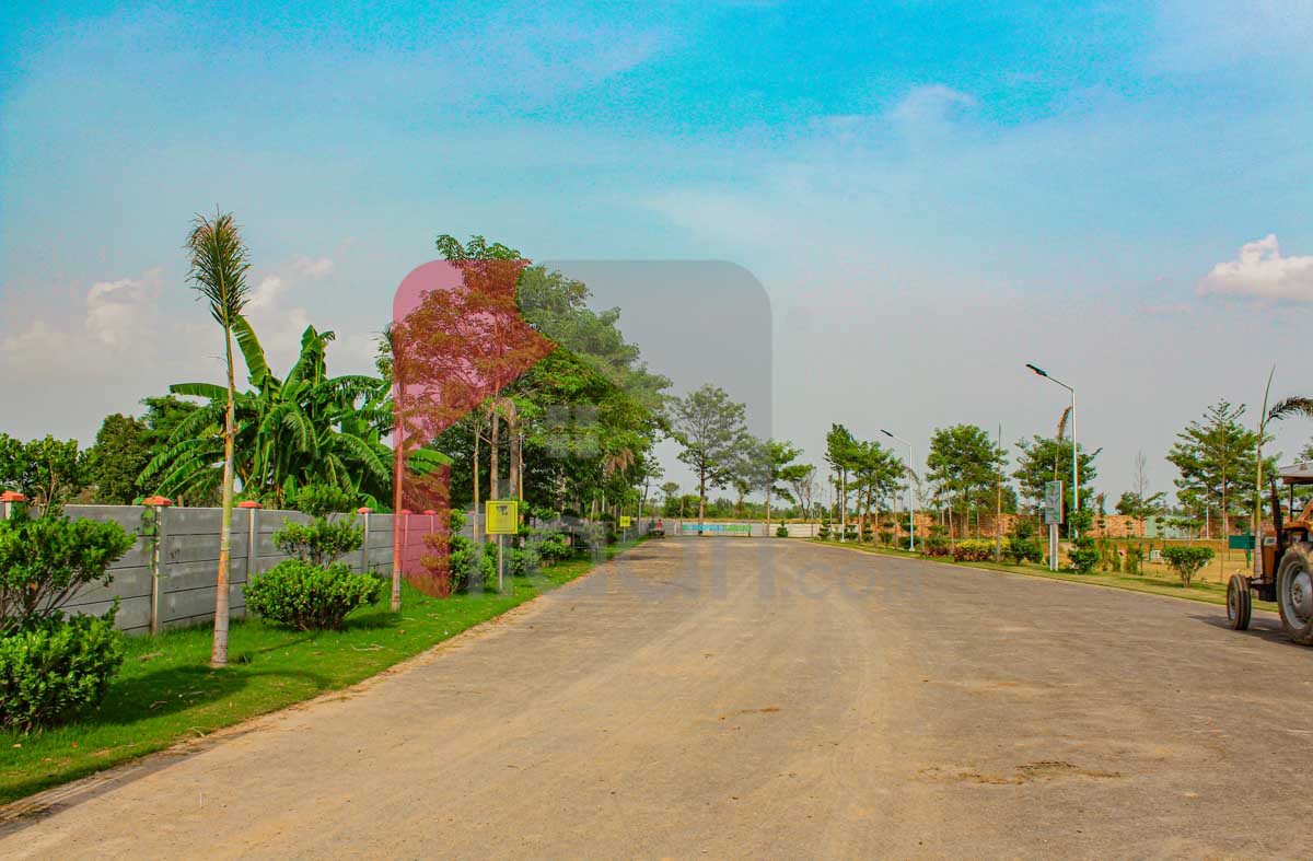 4 Kanal Farmhouse Plot for Sale in Orchard Greenz Luxury Farm House Society, Bedian Road, Lahore