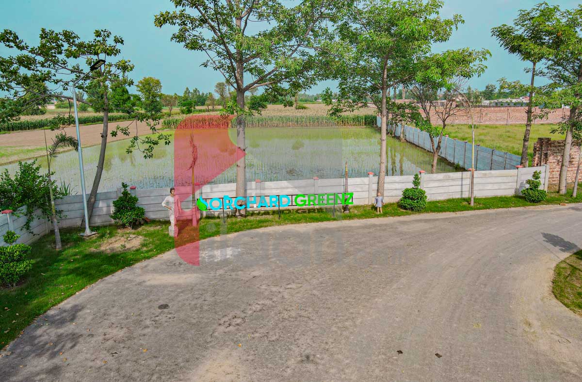 4 Kanal Farmhouse Plot for Sale in Orchard Greenz Luxury Farm House Society, Bedian Road, Lahore
