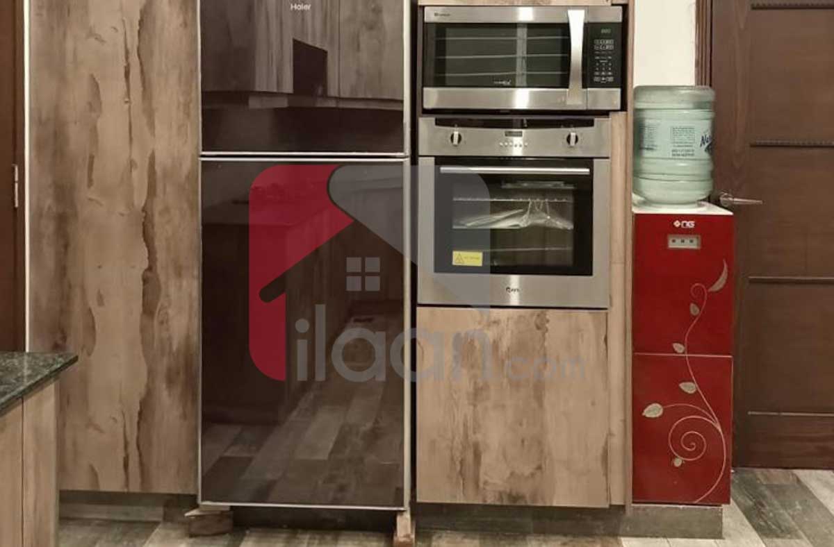 1 Kanal House for Rent in Block W, Phase 7, DHA Lahore