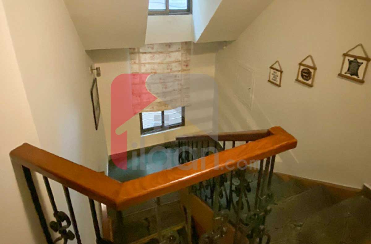 1 Kanal House for Rent in Phase 5, DHA Lahore