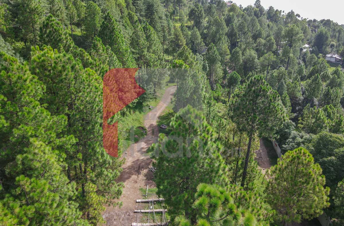 4 Kanal Farmhouse Plot for Sale in Holiday Country Club, Near Patriata Chair Lift, Murree