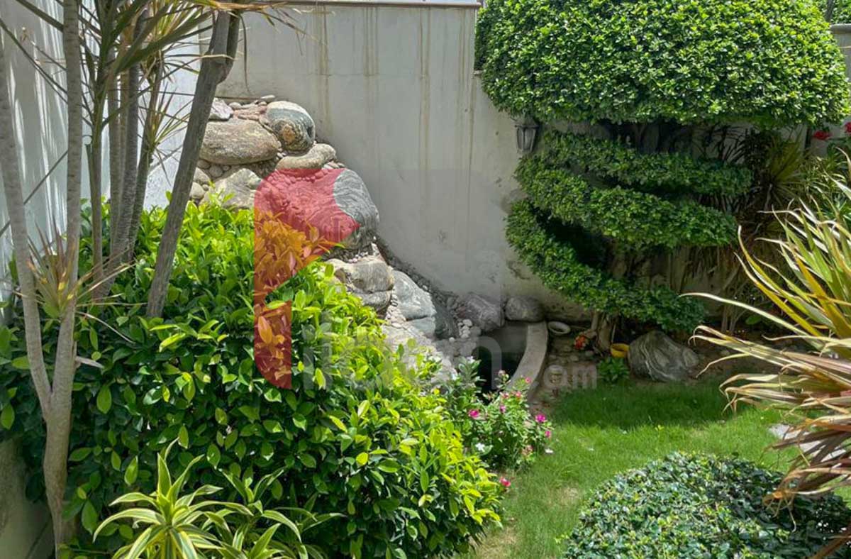 500 Sq.yd House for Rent in Phase 8, DHA Karachi