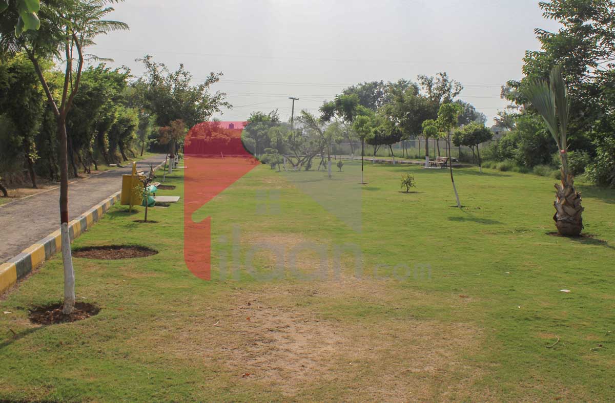 Commercial Plot (Size 35'X40') for Sale in PMCHS, E-11, Islamabad