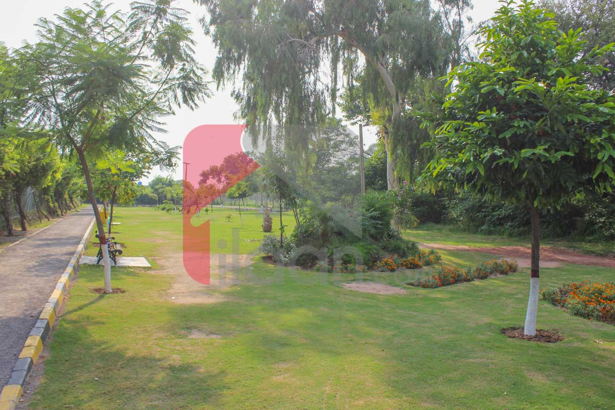 Commercial Plot (Size 35'X40') for Sale in PMCHS, E-11, Islamabad