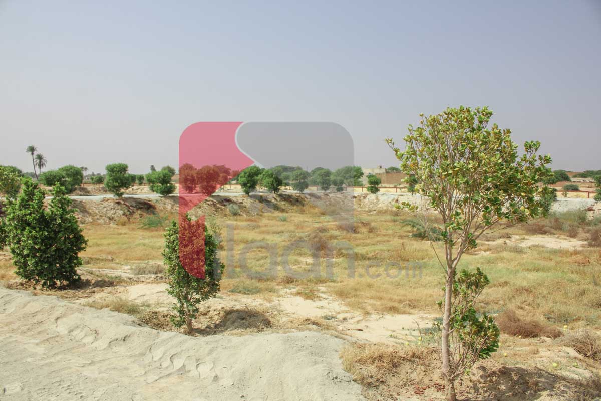2.5 Marla Plot (Plot no 75) for Sale in Phase 1, Al-Kareem Garden Housing Scheme, Bahawalpur
