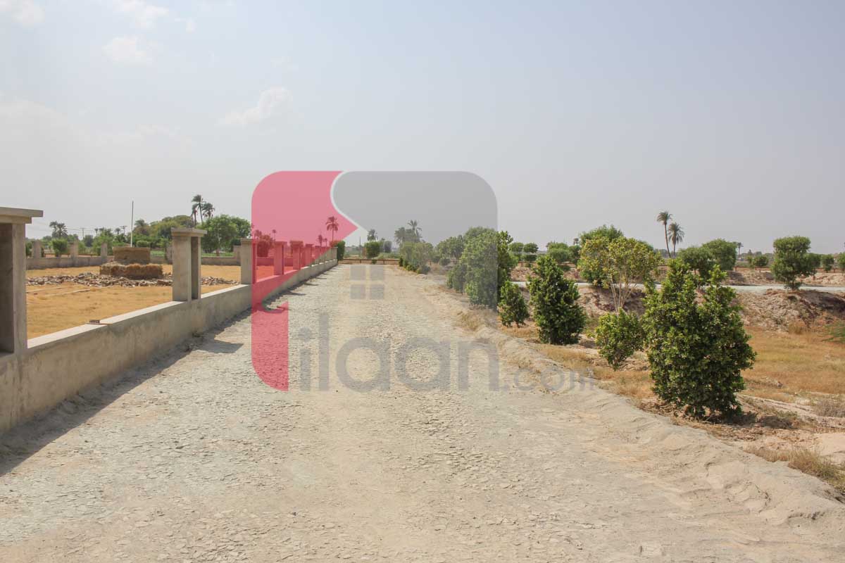 2.5 Marla Plot (Plot no 75) for Sale in Phase 1, Al-Kareem Garden Housing Scheme, Bahawalpur