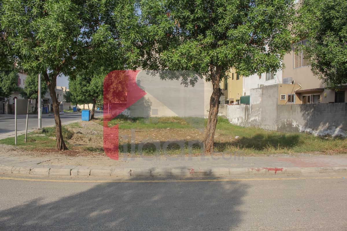 6.2 Marla Plot (Plot no 379) for Sale in Eastern District Block, Phase 1, Bahria Orchard, Lahore