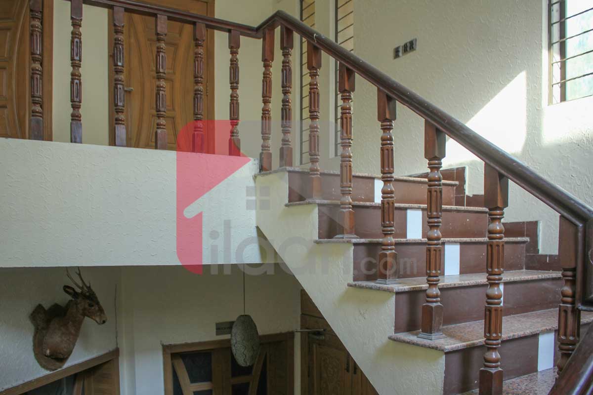 1 Kanal House for Rent (First Floor) in Block B1, Phase 1, Johar Town, Lahore