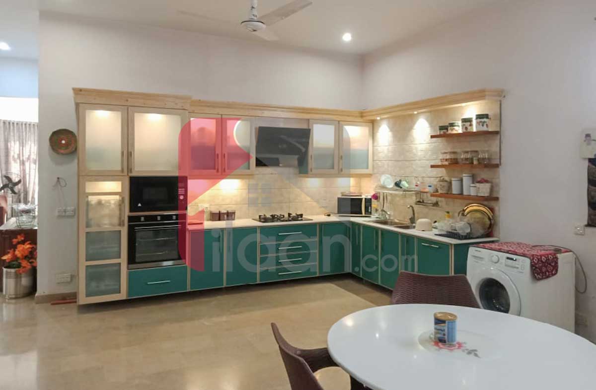 725 Sq.yd House for Rent in Block 6, PECHS, Karachi