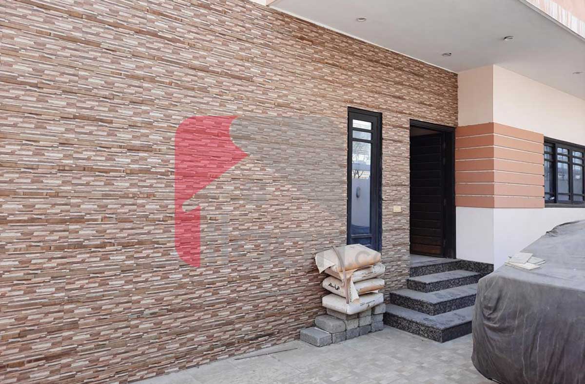 290 Sq.yd House for Rent (Basement Ground First Floor) in Block 6, PECHS, Karachi