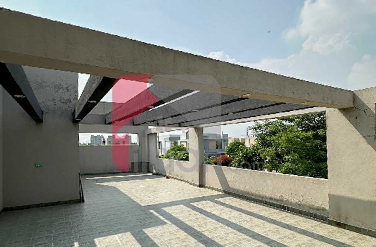 1 Kanal House for Rent in Phase 6, DHA Lahore