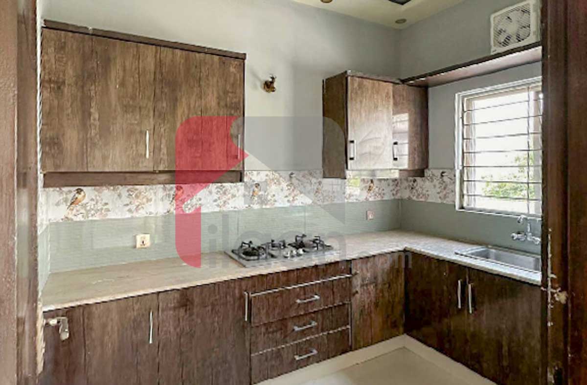 1 Kanal House for Rent in Phase 6, DHA Lahore