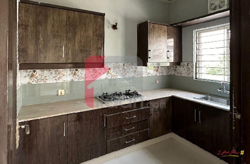1 Kanal House for Rent (First Floor) in Phase 6, DHA Lahore