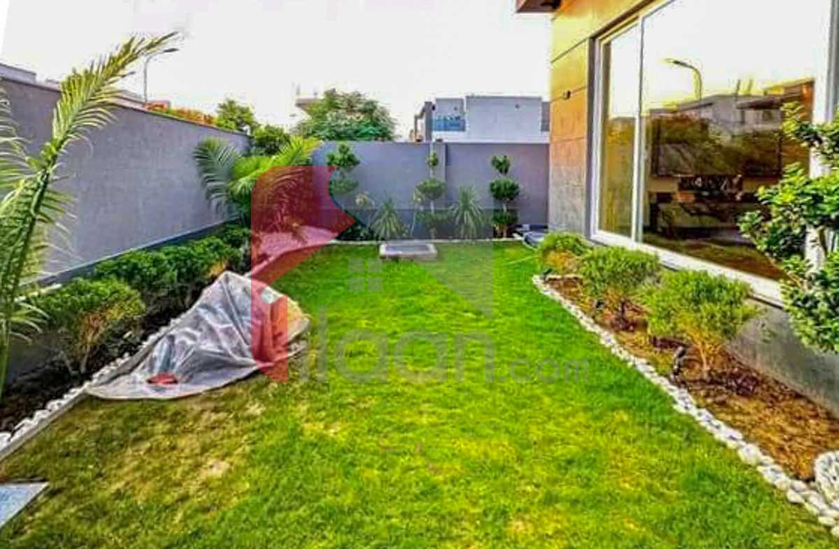 1 Kanal House for Rent in Block W, Phase 7, DHA Lahore