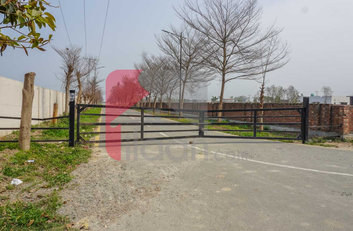 4 Kanal Farmhouse Plot for Sale in Farmerz Farm House Society, Barki Road, near Phase 7, DHA Lahore