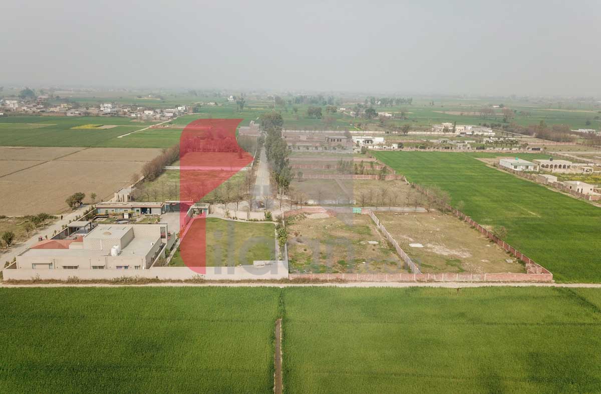 4 Kanal Farmhouse Plot for Sale in Farmerz Farm House Society, Barki Road, near Phase 7, DHA Lahore
