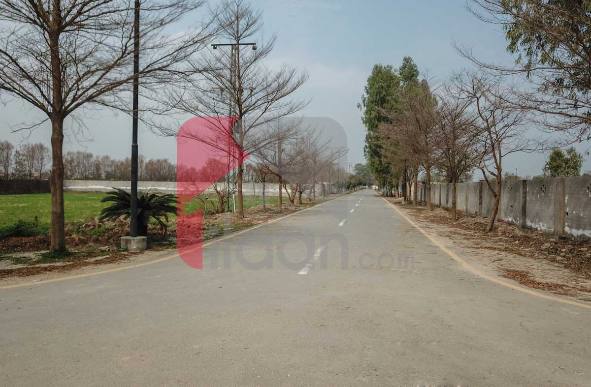 4 Kanal Farmhouse Plot for Sale in Farmerz Farm House Society, Barki Road, near Phase 7, DHA Lahore