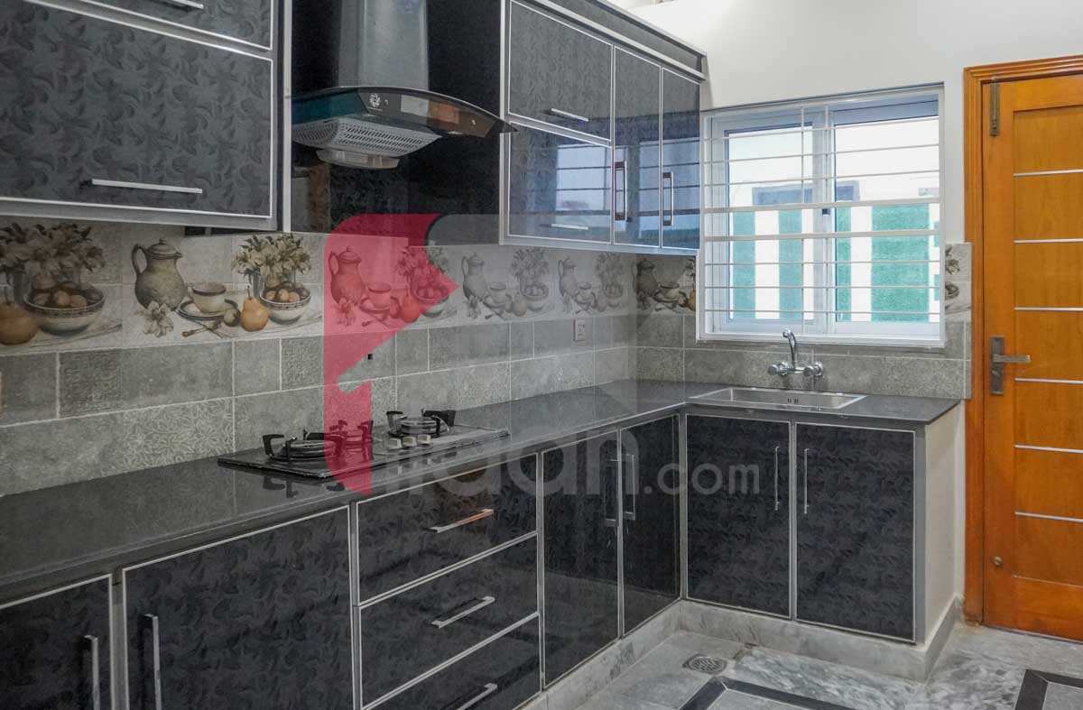 5 Marla House for Sale in Tulip Overseas Block, Park View City, Lahore