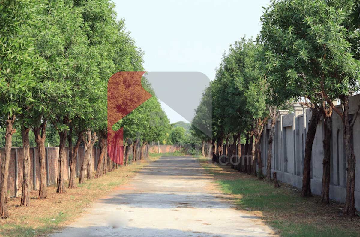 1 Kanal FarmHouse for Sale in Farm City, Bedian Road, Lahore