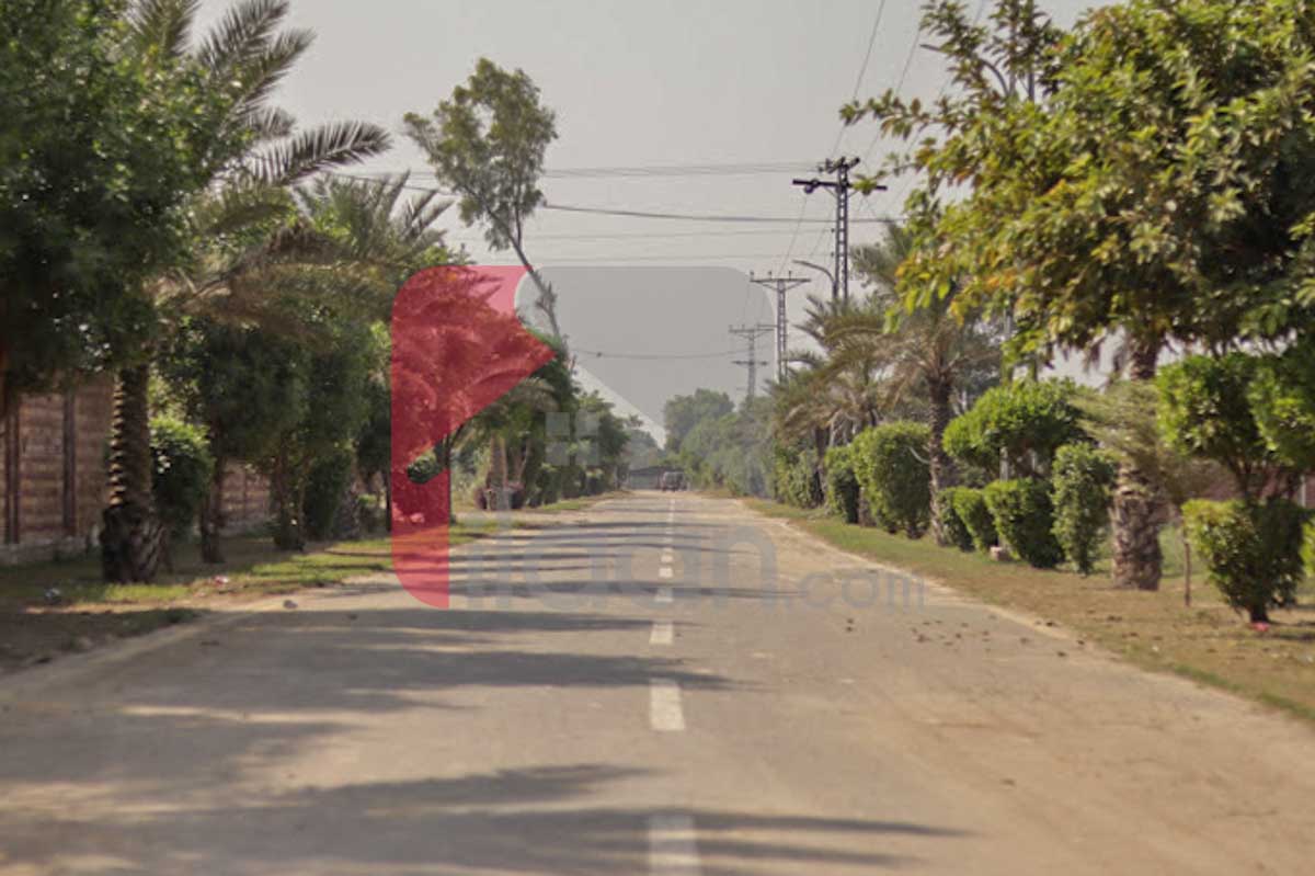 1 Kanal FarmHouse for Sale in Farm City, Bedian Road, Lahore