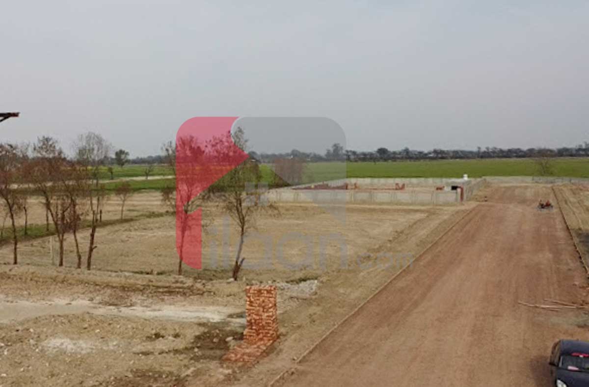 1 Kanal FarmHouse for Sale in Farm City, Bedian Road, Lahore
