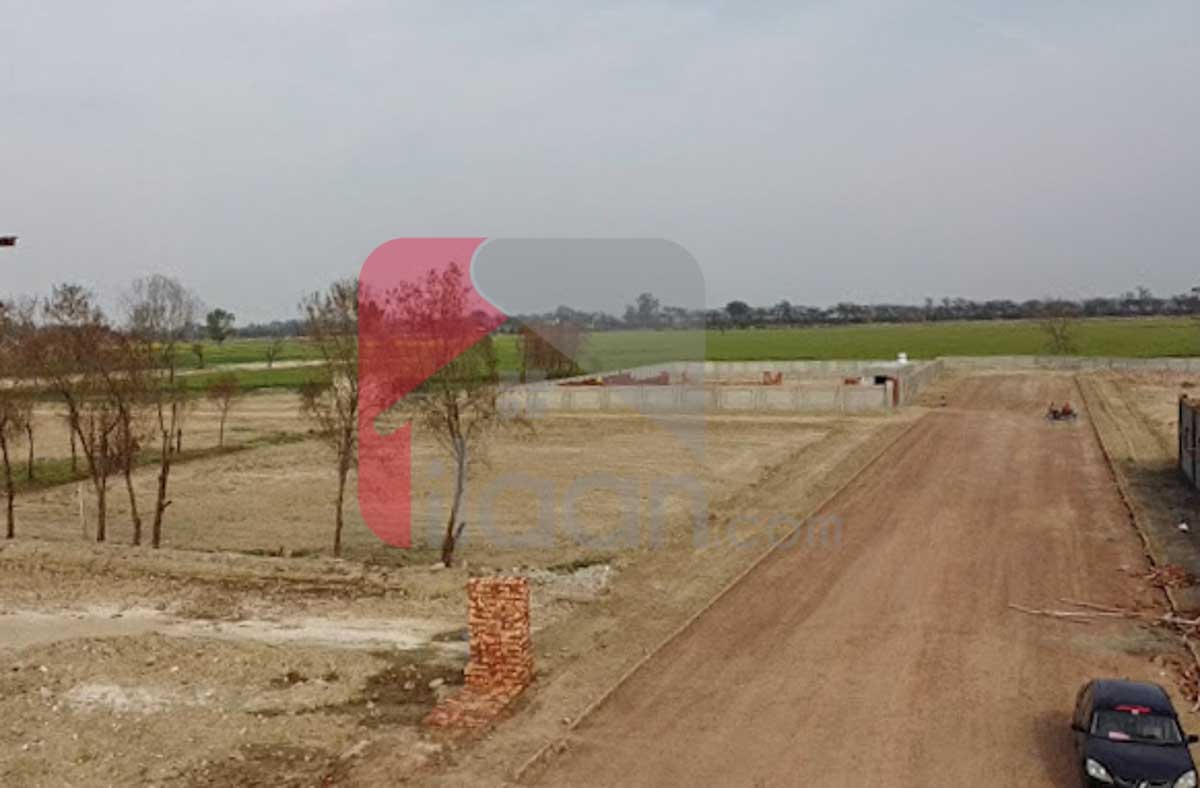 1 Kanal FarmHouse for Sale in Farm City, Bedian Road, Lahore