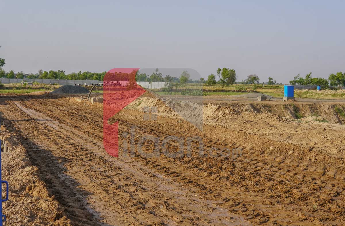 5 Marla Plot for Sale in The Oasis Block, Al Kabir Orchard, Lahore