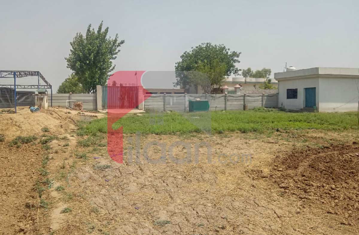1 Acre 6 Kanal BIOFLOC Fish Farm for Sale on Lahore/Kasur Border, Before Kot Radha Kishan